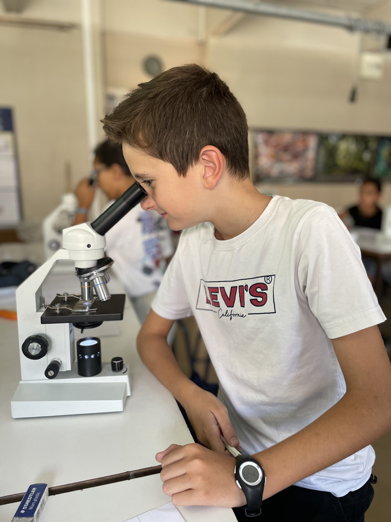 Assomption Sainte Clotilde Bordeaux - Laboratoires