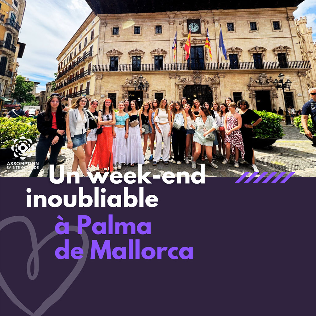 Couverture voyage des internes à Palma de Mallorca