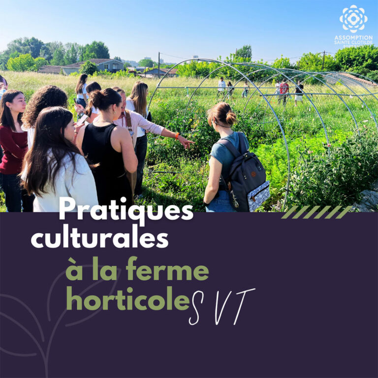 Couverture sortie horticole des secondes