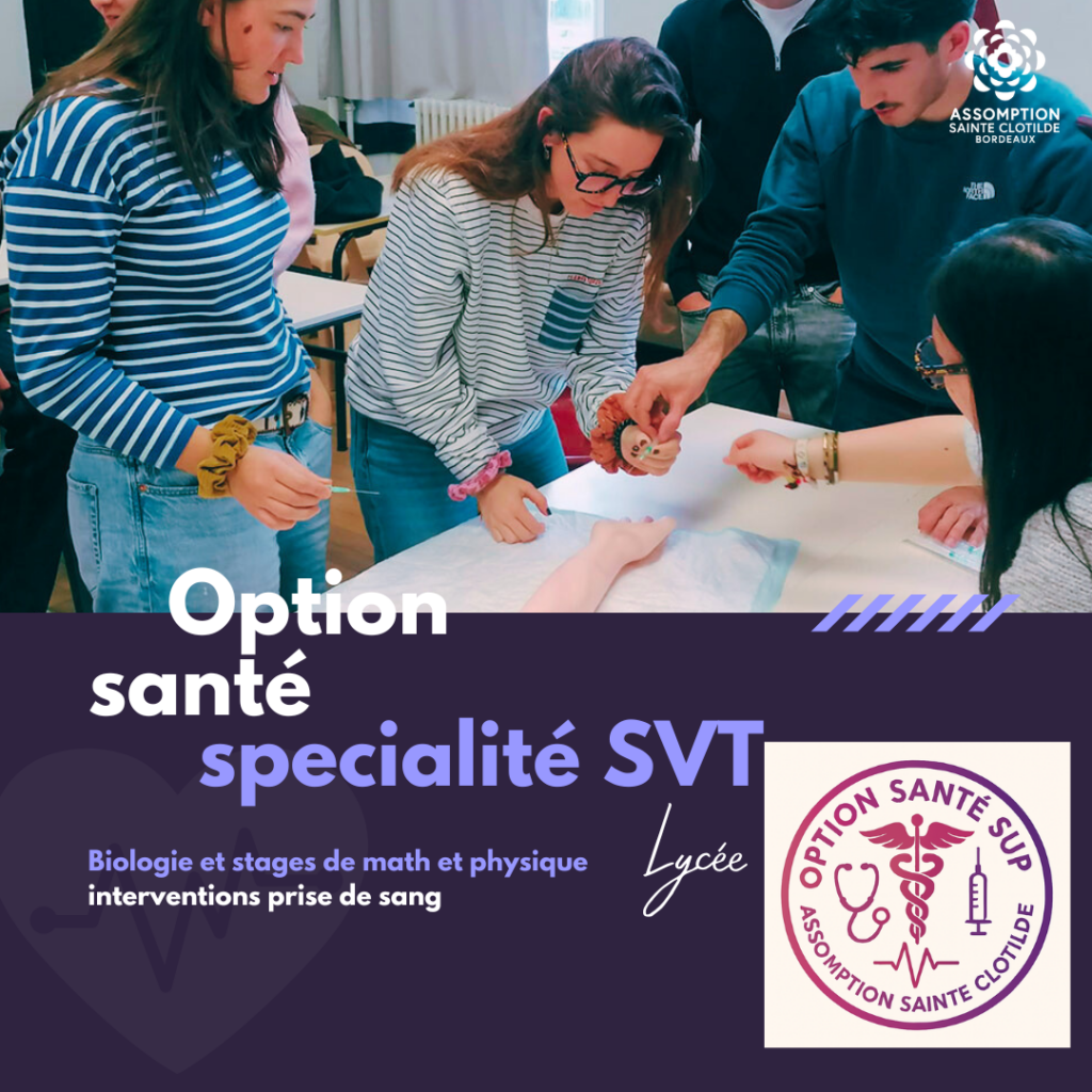 Option santé terminale SVT 2026 : biologie, stages et immersion dans le monde médical