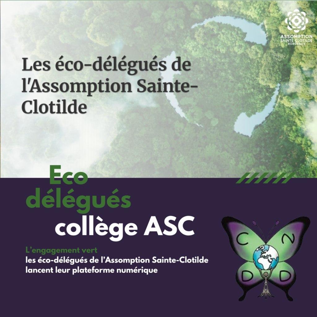 Article eco delegues du collège assomption sainte clotilde